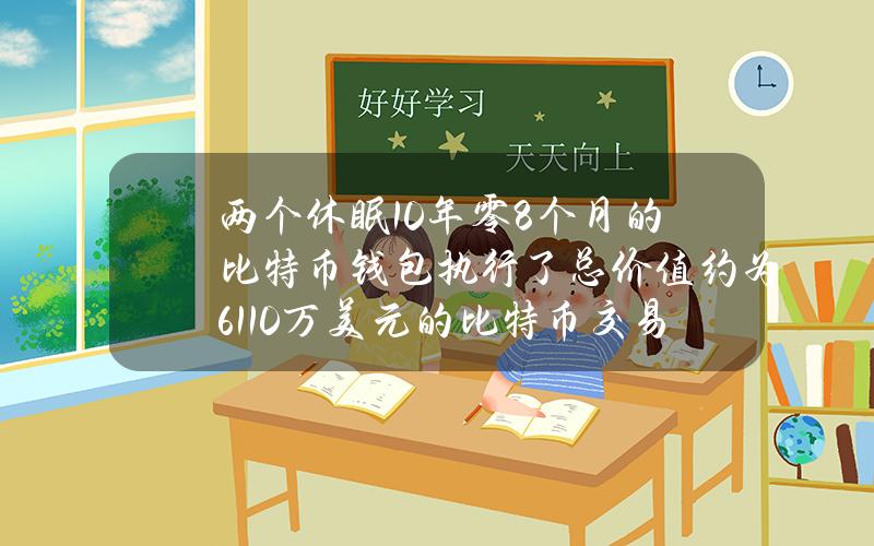 两个休眠10年零8个月的比特币钱包执行了总价值约为6110万美元的比特币交易