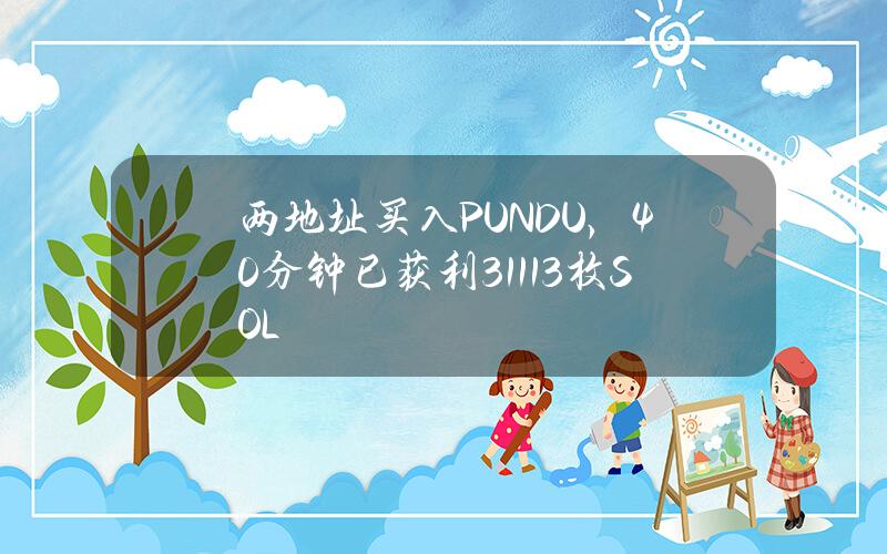 两地址买入PUNDU，40分钟已获利31113枚SOL