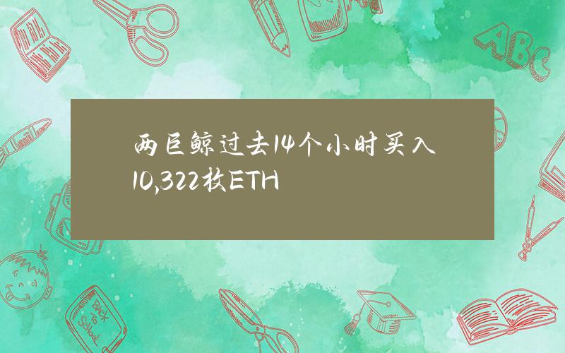 两巨鲸过去14个小时买入10,322枚ETH