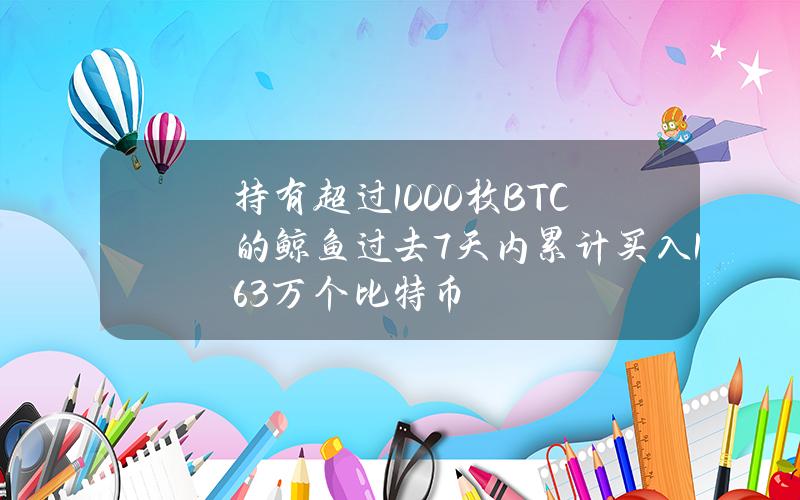 持有超过1000枚BTC的鲸鱼过去7天内累计买入1.63万个比特币