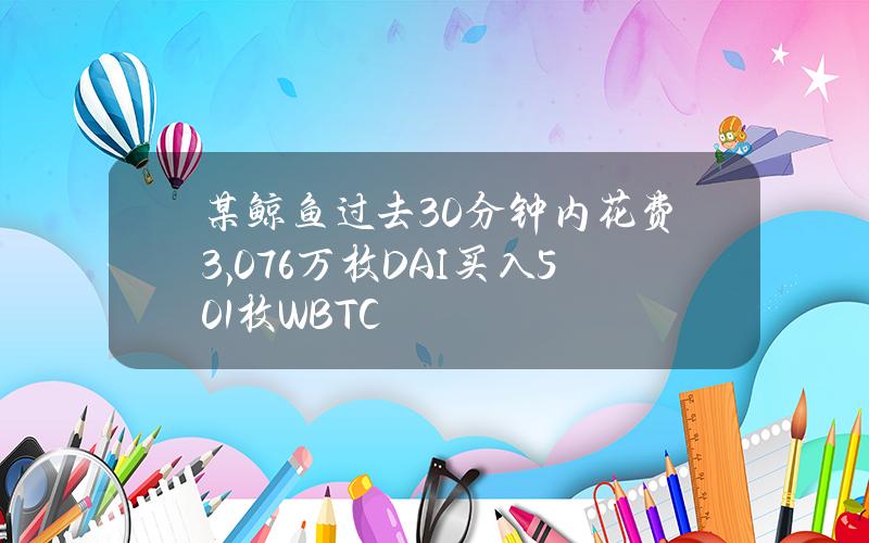 某鲸鱼过去30分钟内花费3,076万枚DAI买入501枚WBTC