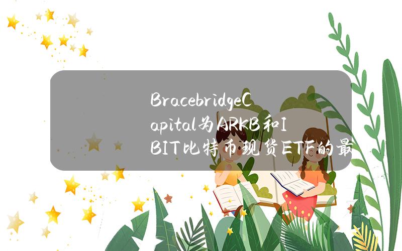 BracebridgeCapital为ARKB和IBIT比特币现货ETF的最大持有者