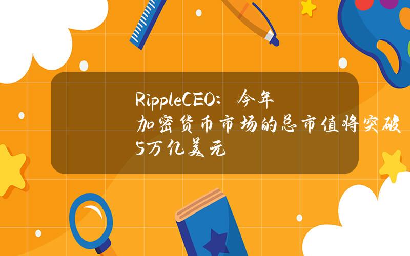 RippleCEO：今年加密货币市场的总市值将突破5万亿美元