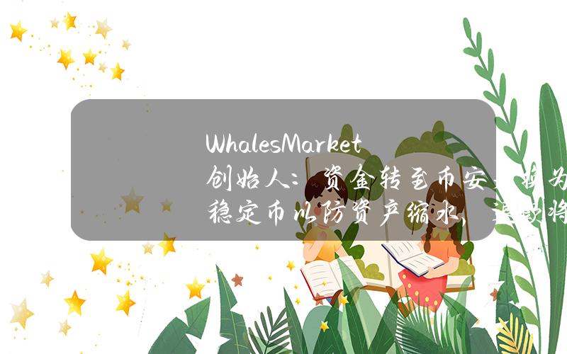 WhalesMarket创始人：资金转至币安是换为稳定币以防资产缩水，退款将很快发放