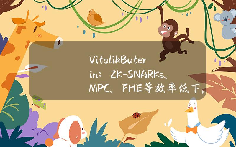 VitalikButerin：ZK-SNARKs、MPC、FHE等效率低下，需实现实时证明